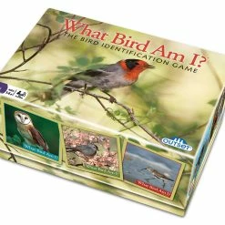 Buy ⭐ Outset Media Outset Media What Bird Am I? 😀