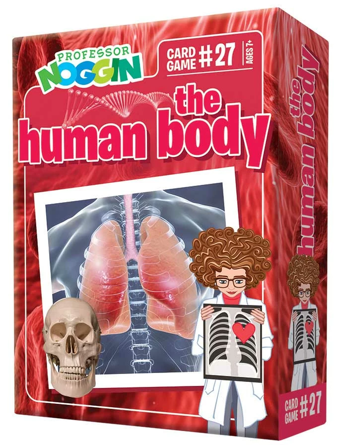 Outlet 😀 Professor Noggin's The Human Body ✔️ 3 Outlet 😀 Professor Noggin's The Human Body ✔️